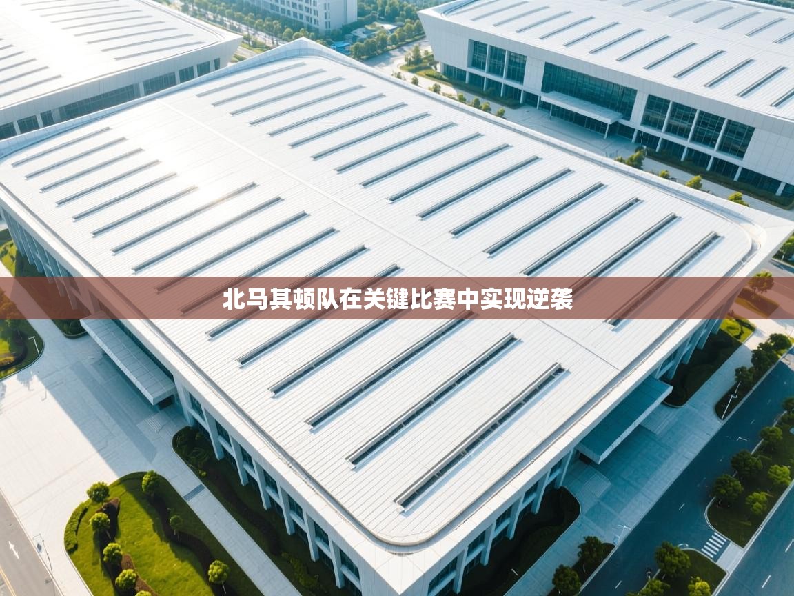 北马其顿队在关键比赛中实现逆袭 第2张