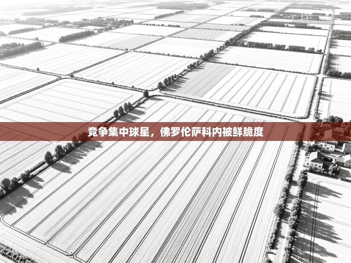 竞争集中球星，佛罗伦萨科内被鲜脆度  第1张