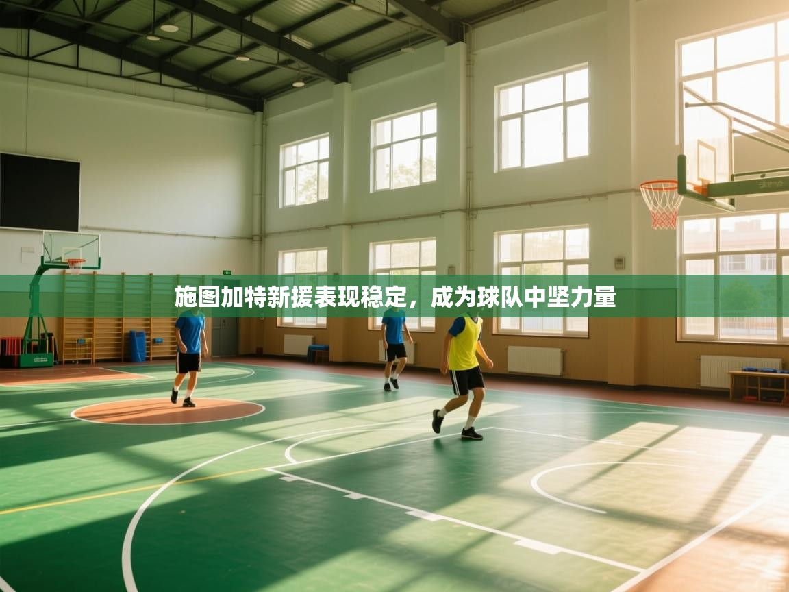 施图加特新援表现稳定，成为球队中坚力量  第2张