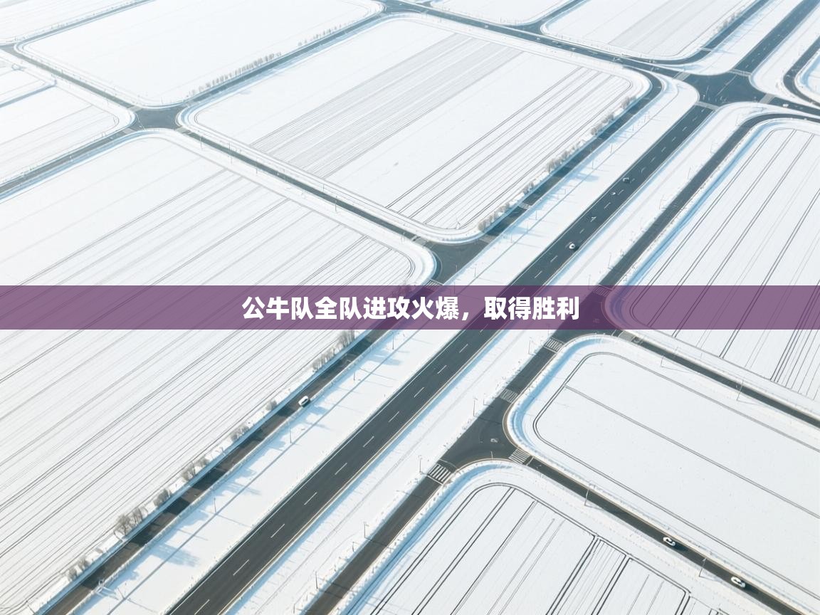 公牛队全队进攻火爆，取得胜利  第2张