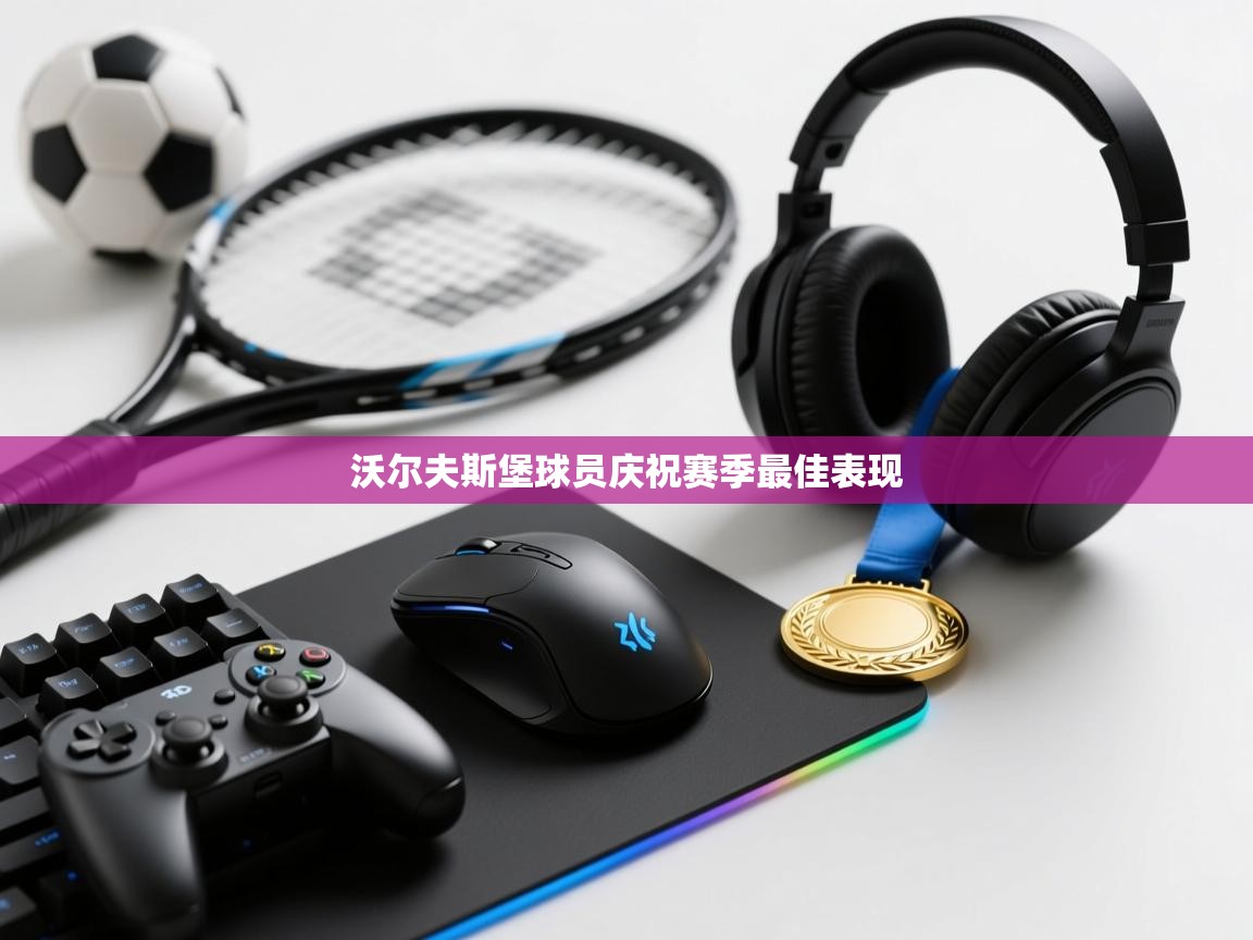 沃尔夫斯堡球员庆祝赛季最佳表现 第1张