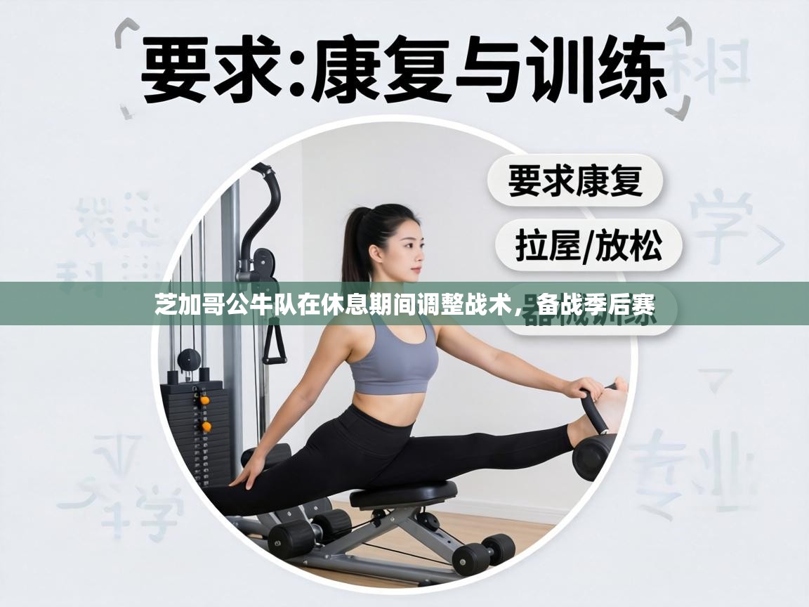 芝加哥公牛队在休息期间调整战术，备战季后赛  第1张